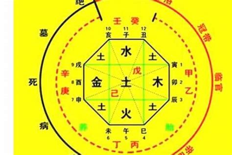 數字八字|生辰八字算命、五行喜用神查詢（免費測算）